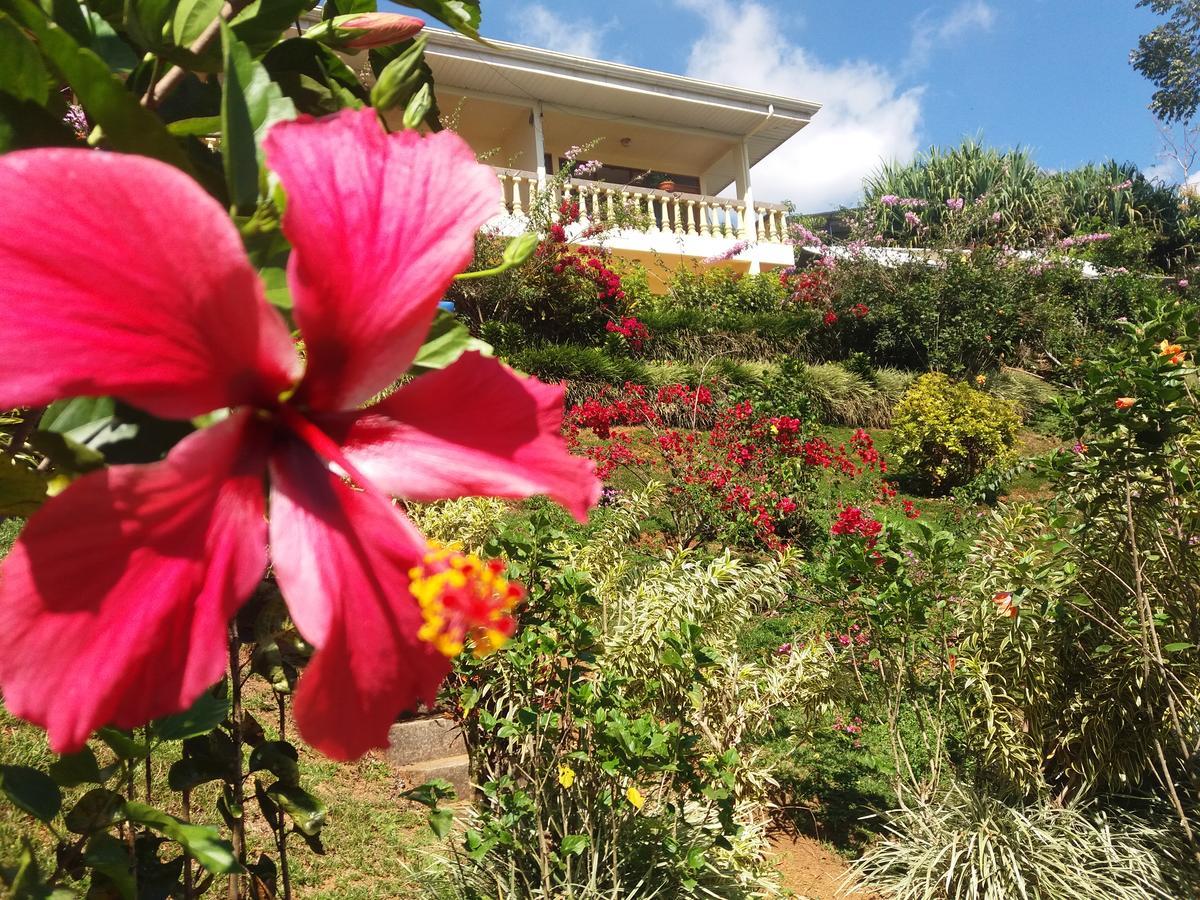 La Princesa Hotel San Isidro De El General Dış mekan fotoğraf