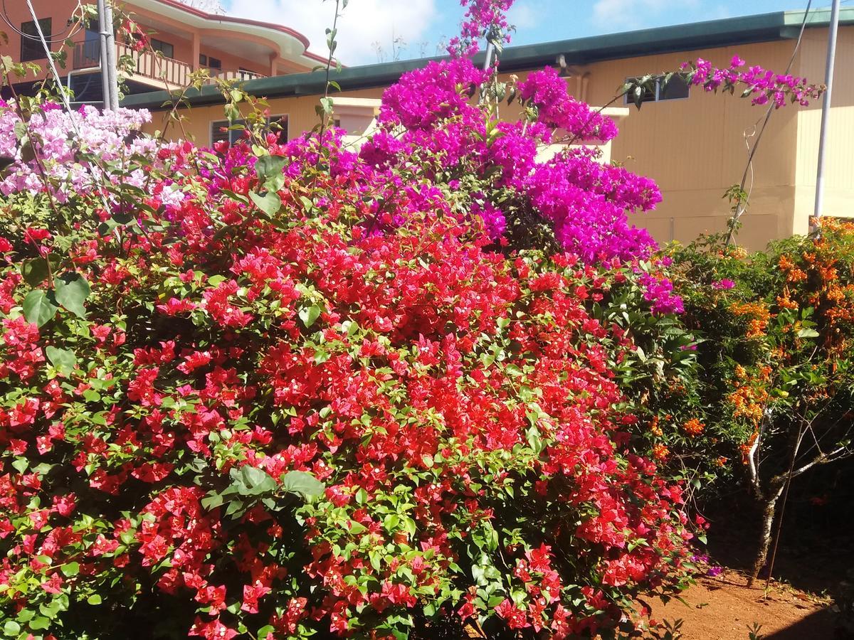 La Princesa Hotel San Isidro De El General Dış mekan fotoğraf