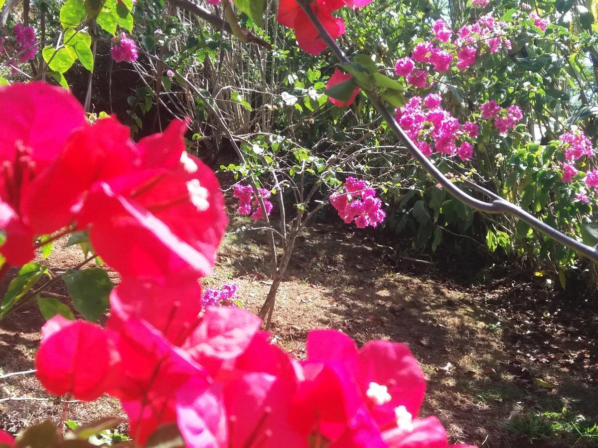 La Princesa Hotel San Isidro De El General Dış mekan fotoğraf