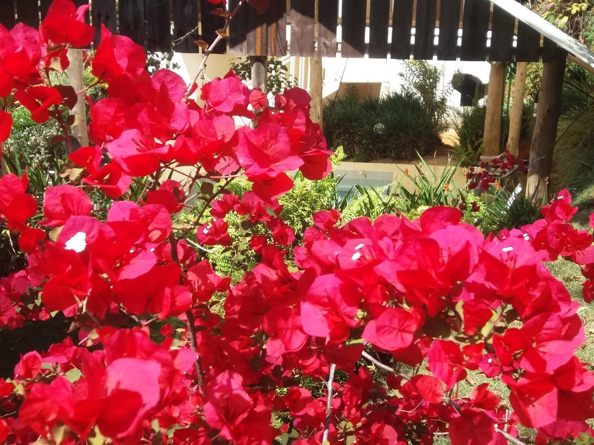 La Princesa Hotel San Isidro De El General Dış mekan fotoğraf