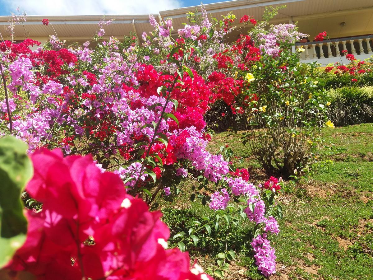 La Princesa Hotel San Isidro De El General Dış mekan fotoğraf